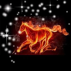 Meet your Posher, Quang